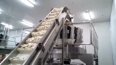 Машина для упаковки замороженных продуктов в готовые пакеты